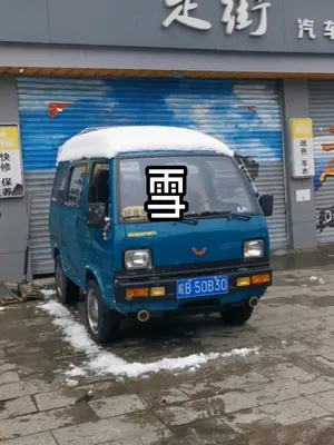 能在雪里一把着的老五菱可还行#五菱神车 #五菱6320 #2022年的第一场