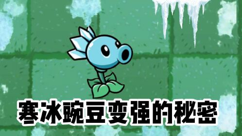 植物大战见识:寒冰豌豆的蜕变,永不服输的意志