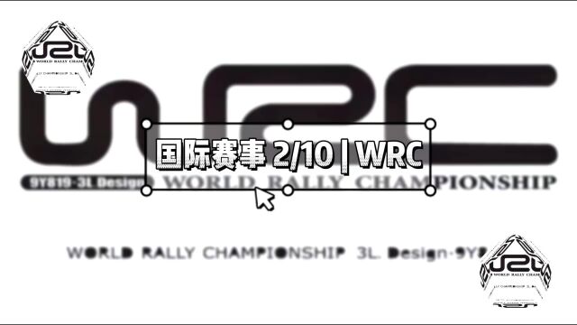 十大国际汽车赛事(二)| WRC世界拉力锦标赛