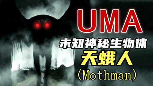 【UMA系列】第五期：天蛾人是否真的存在？
