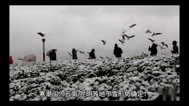 寒潮闯入云南,昆明等地下雪形势确定!权威预报:热带雨林也降温