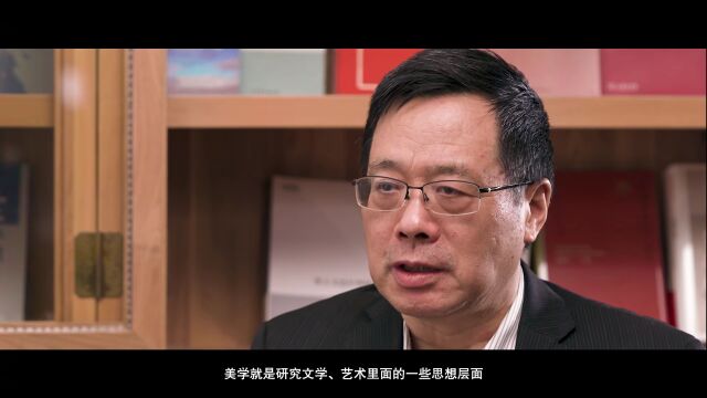 深圳文艺家丨高建平:美学教育是润物无声的