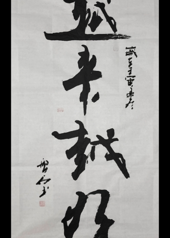 我信了,你信吗#张增亮磐石体书法 #积德者胜 #张增亮 #越来越好 #磐石