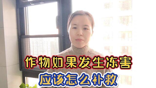 作物如果发生冻害,应该怎么补救