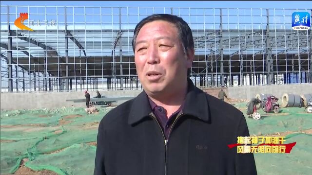 河北新闻联播丨河北:高速高效推进项目建设 助力经济高质量发展