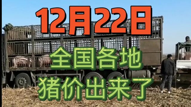 12月22日,全国各地生猪报价出来了,本报价仅供养殖户参考……