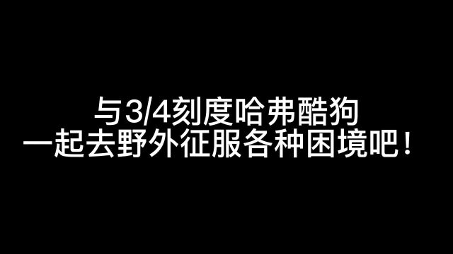 哈弗酷狗带你解锁潮酷出行新体验