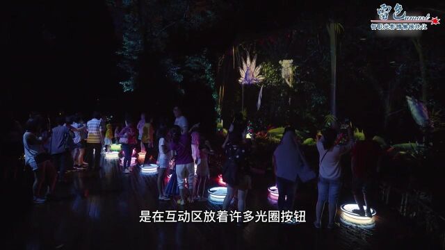 雷色光电倾情推荐“沉浸式文旅夜游”合集之九:AINFOREST LUMINA