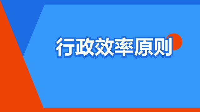 “行政效率原则”是什么意思?