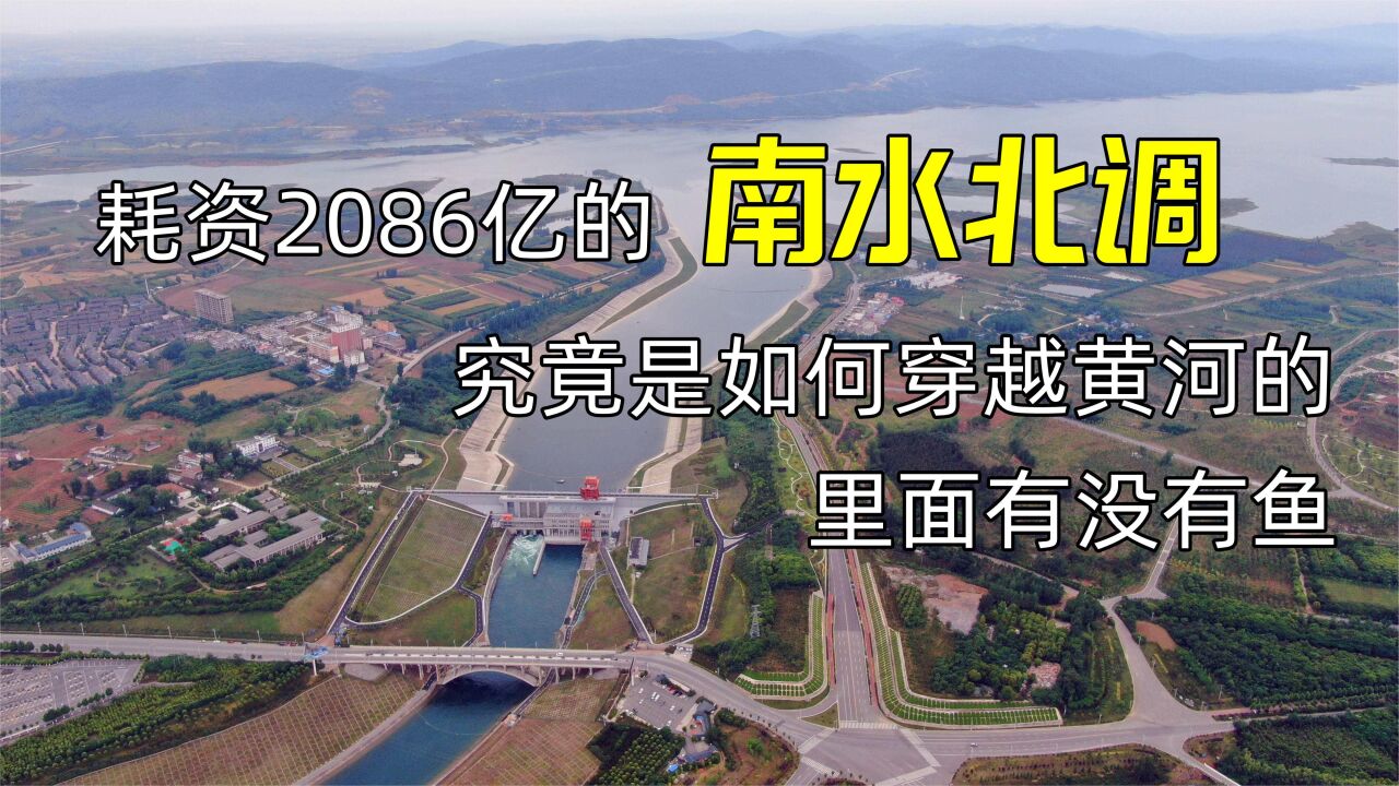 耗资2086亿的南水北调,究竟是如何穿越黄河的,里面有没有鱼?
