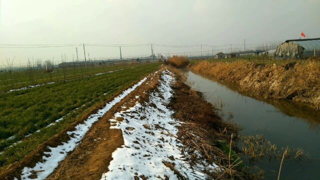 这种水草边千万不要错过,鲫鱼扎堆……