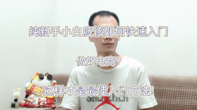 纯新手小白应该如何快速入门电商,做哪个平台好一些?#新手小白#电商创业#自媒体运营#大学生#分享知识