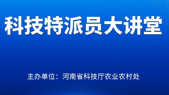 《科技特派员大讲堂》第45期中药材红花优质高产高效栽培技术(下)