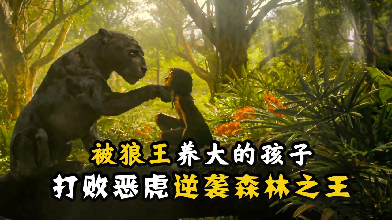 被狼王养大的孩子,打败恶虎逆袭森林之王《森林之子毛克利》_高清1080P在线观看平台_腾讯视频