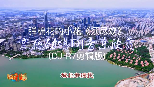 人生得意须尽欢,一首情歌两难确! 弹棉花的小花《须尽欢》 (DJ R7剪辑版)