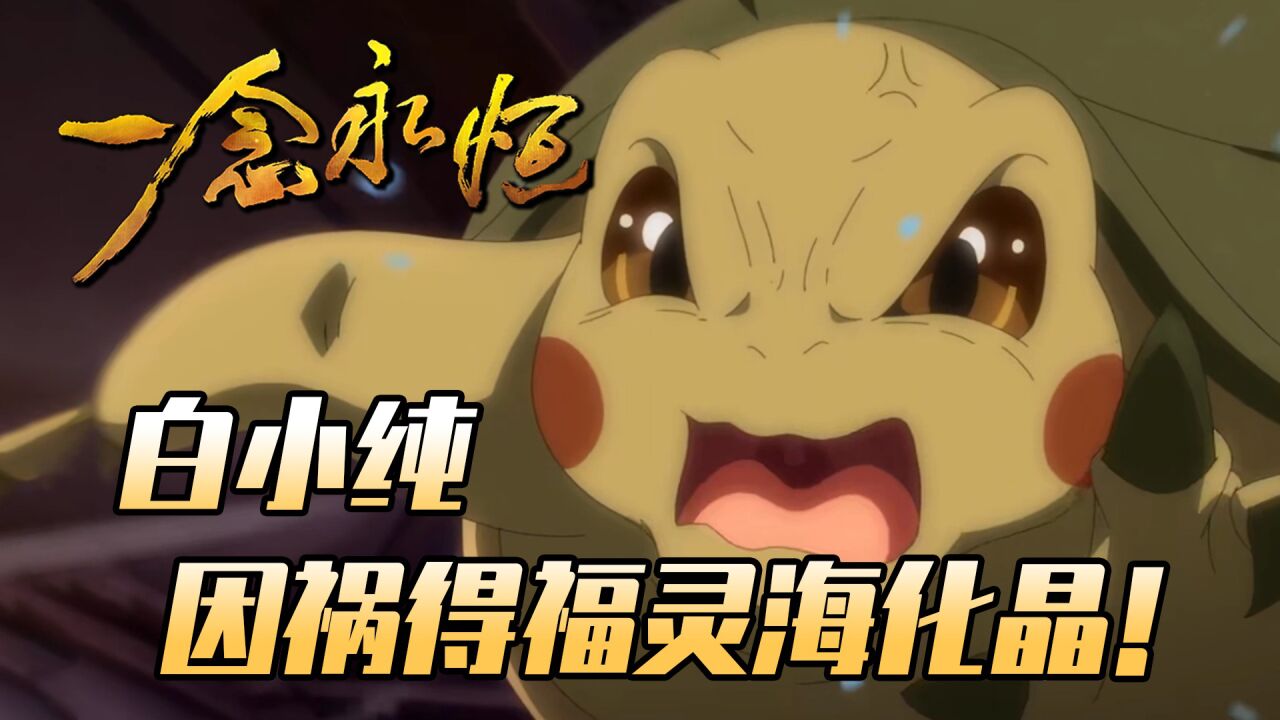 一念永恒:小乌龟挑衅神鳄,白小纯因祸得福灵海化晶!