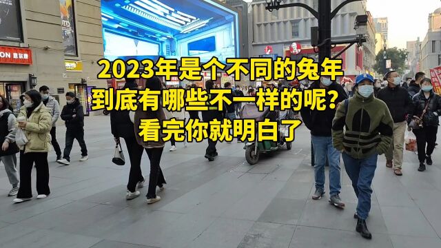 2023年是个不同的兔年,到底有哪些不一样的呢?看完你就明白了