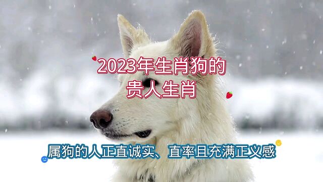 2023年生肖狗的贵人生肖