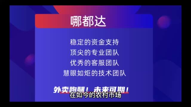 如何搭建或选择自己乡镇外卖平台?