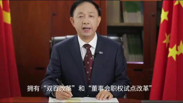 刘国平董事长:为建设世界一流的健康产业集团而奋斗