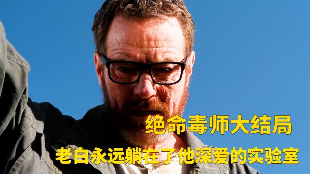 绝命毒师大结局,老白永远躺在了深爱的实验室.