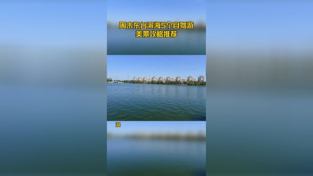 周末东台滨海5个自驾游美景攻略推荐