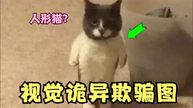 欺骗视觉的诡异图片,看完还相信自己的眼睛吗?