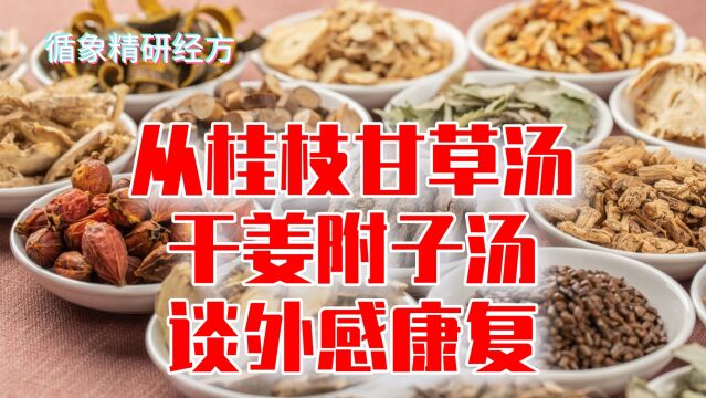 从桂枝甘草汤、干姜附子汤谈外感康复,首先保护心阳