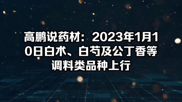 高鹏说药材:2023年1月10日白术、白芍及公丁香等调料类品种上行