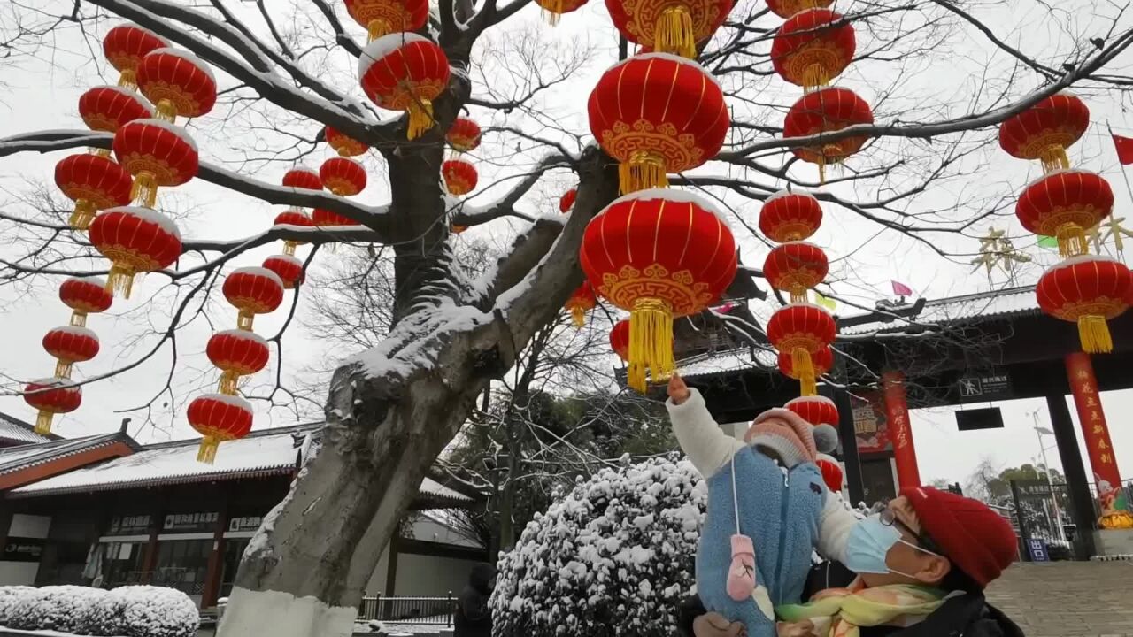 雪打灯笼兆丰年图片