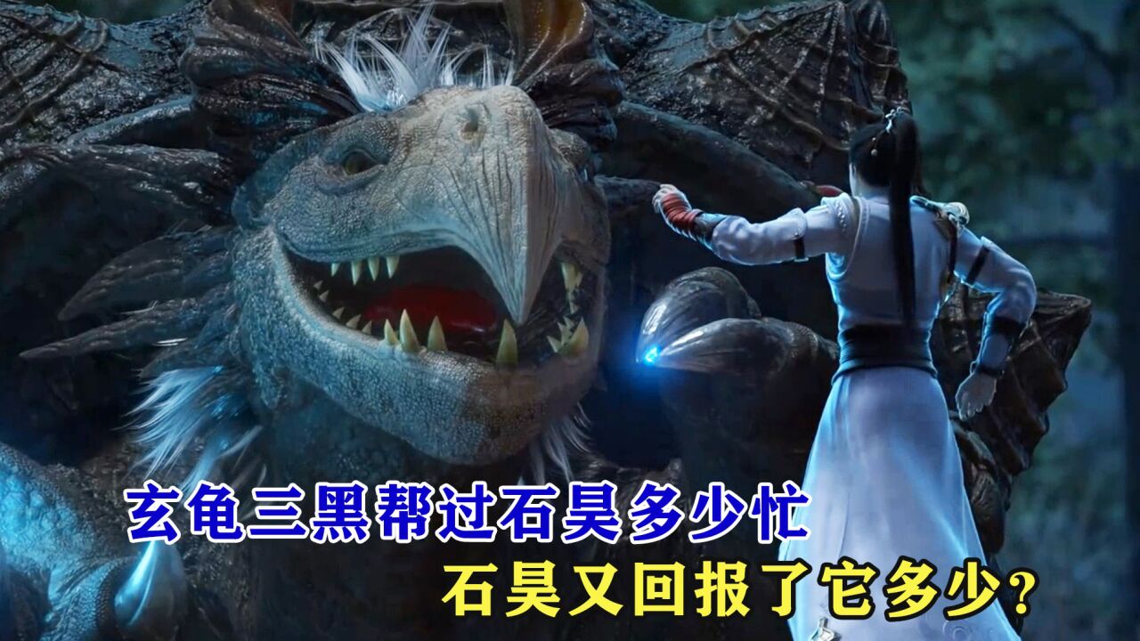完美世界:玄龟三黑帮过石昊多少忙,石昊又回报了玄龟多少?_高清1080P在线观看平台_腾讯视频