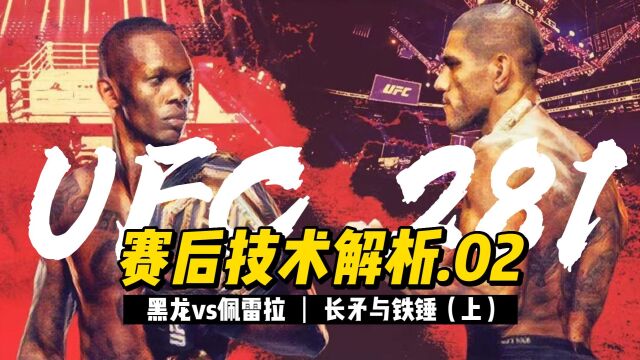 【宿命对决】UFC281解析:黑龙VS佩雷拉(上)