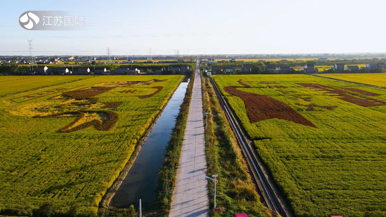 《江苏风采录》栏目组走进滨海县五汛镇