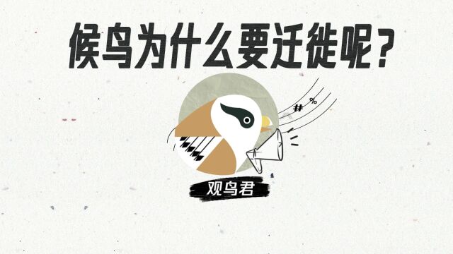 什么是候鸟?为什么会迁徙呢?