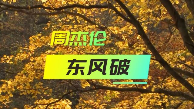 东风破周杰伦,4K完整版无损音质,谁在用琵琶弹奏,一曲东风破