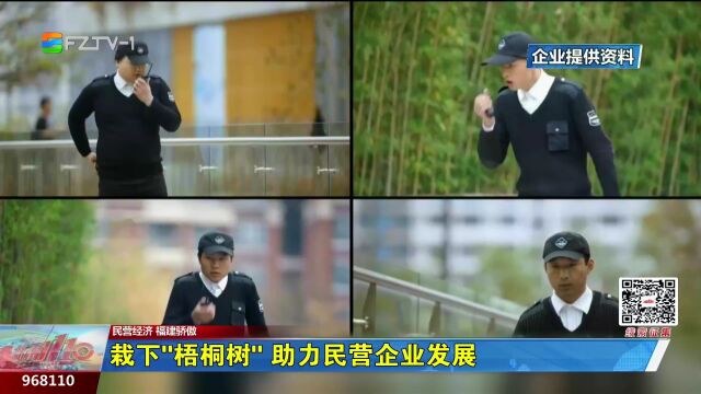 栽下“梧桐树”助力民营企业发展