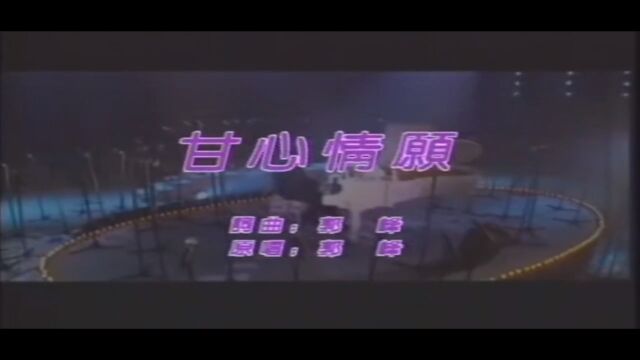 心甘情愿郭峰KTV版