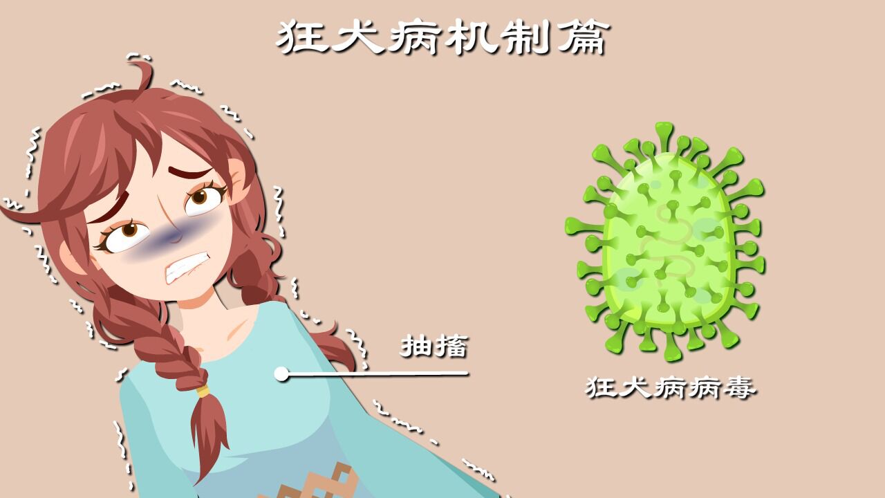 发作必死的狂犬病,究竟是怎么要人命的?揭秘狂犬病发病全过程