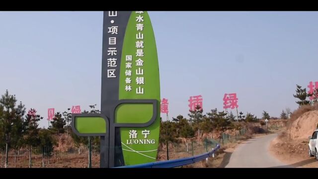 洛阳市林业局副局长李玉瑞一行到洛宁县凤翼山林下经济示范基地考察