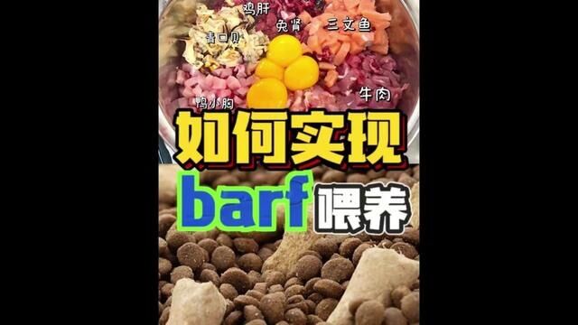 什么是barf喂养?竟然火了这么多年!#麦富迪 #麦富迪猫粮 #barf生骨肉天然粮