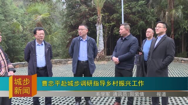 曹忠平赴城步调研指导乡村振兴工作