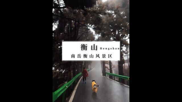 衡山|救命啊!千万不要雨雾天和狗狗登衡山,想哭,劝退!#带着狗狗去旅行 #衡山旅游攻略 #湖南旅游攻略 #爬山