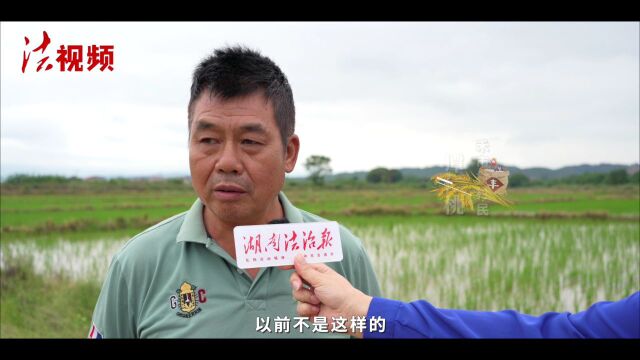 “扎牢耕地篱笆 端稳百姓饭碗”湖南坚决落实耕地保护党政同责系列报道之一整理修复兴田丨土壤银行存入沃土取出丰收 安仁县坚持耕作层剥离再利用再造...