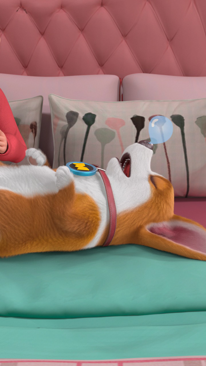 飞狗moco:开学必看的柯基犬卖萌时刻神盘点,每个都超好笑!