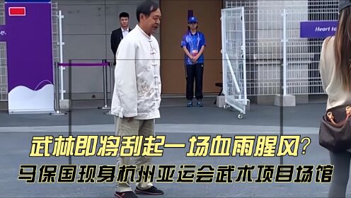 马保国现身杭州亚运会武术项目场馆！表演闪电五连鞭，口碑不一！_高清1080P在线观看平台_腾讯视频