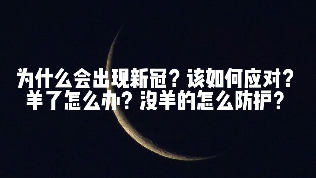 【Lunate's Talk】为什么会出现新冠?跟人类共业什么关系?该如何应对?阳了该用什么心态面对?Lunate夜隐露娜特