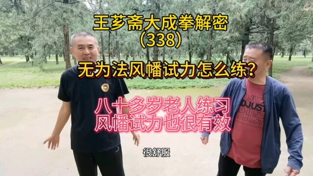 第338集|无为法风幡试力该怎么练?八十岁老人这么练也很有效!