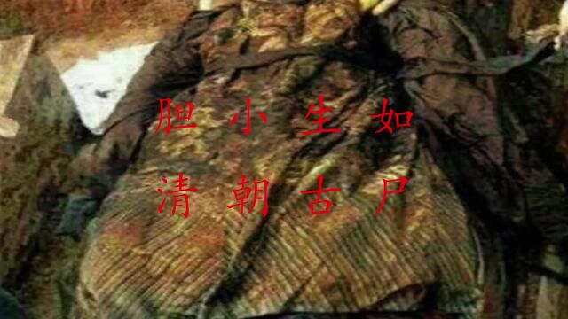 胆小慎入:清朝古尸,真的有J尸存在吗?秋姐讲故事