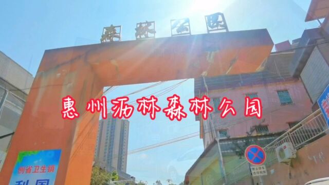 惠州沥林中队旁沥林森林公园山顶空旷的小广场,周边跑步的好去处