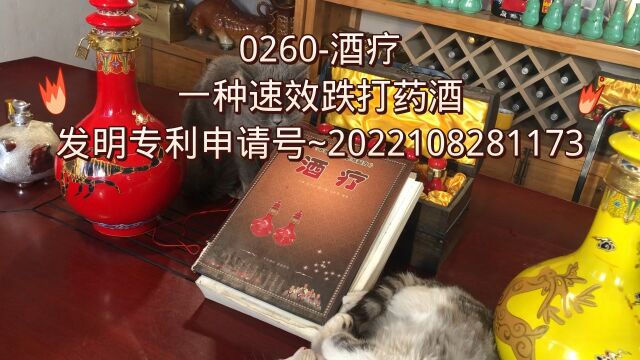 0260酒疗:一种速效跌打药酒(发明专利申请号~2022108281173)